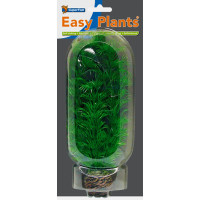 Easy Plants Middle NR4
